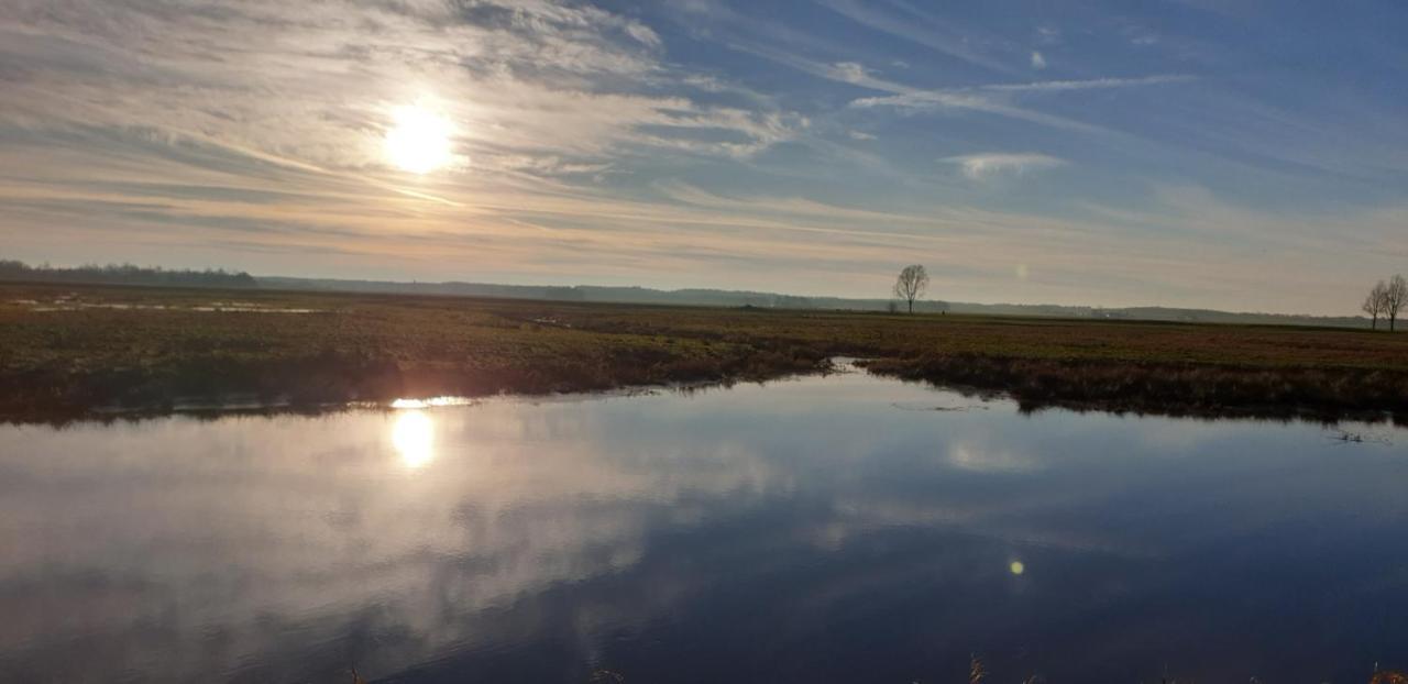 Guesthouse Het Gouden Eiland Veendam 外观 照片