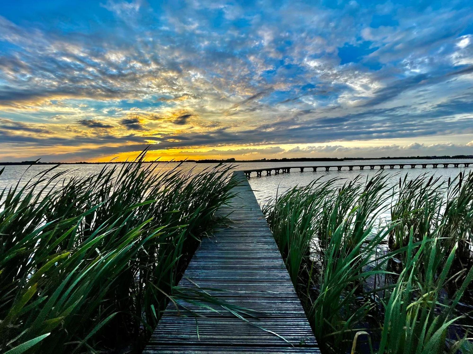 Guesthouse Het Gouden Eiland Veendam 外观 照片