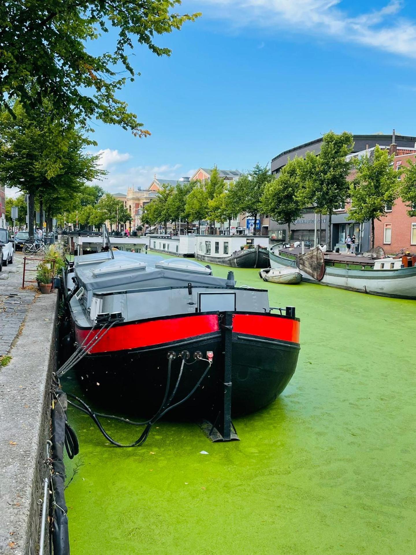Guesthouse Het Gouden Eiland Veendam 外观 照片